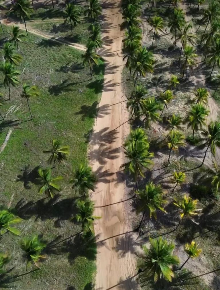 Breve Lançamento. Porto Summer, Porto de Galinhas-Pe.